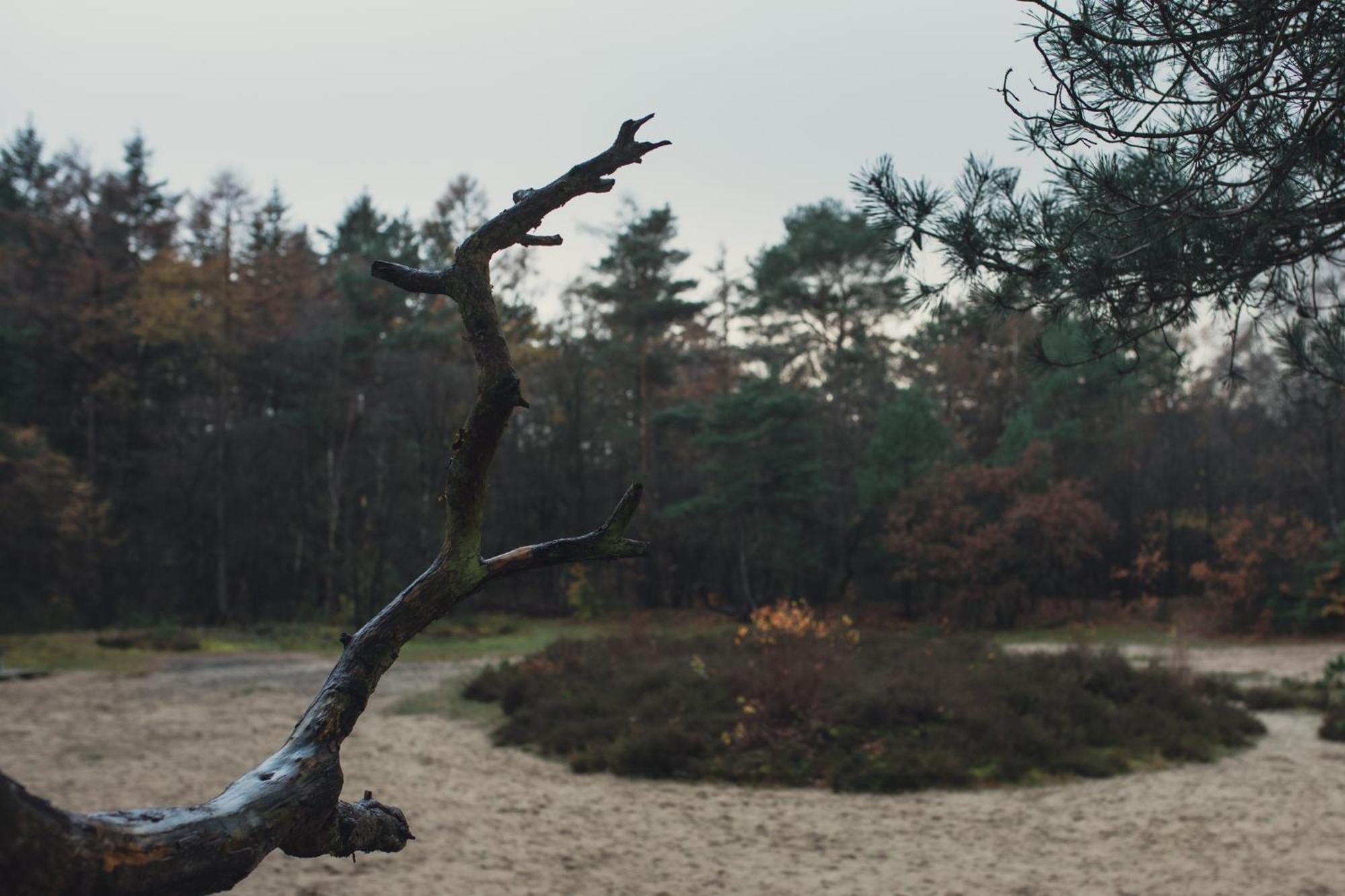 Drents Genieten - Kraaiheide Met Prive Jacuzzi Erm Zewnętrze zdjęcie